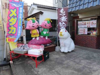 jpeg-optimizer_IMG_2293.JPG
