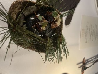 IMG_6942.jpeg