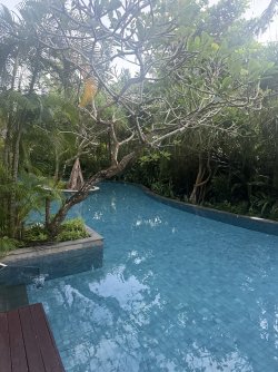 IMG_8614.jpeg