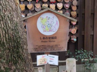 jpeg-optimizer_IMG_2329.JPG