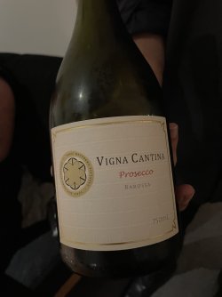 IMG_7080.jpeg