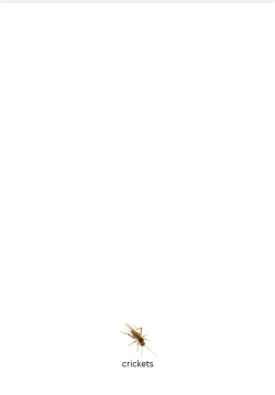 1779933354415.png
