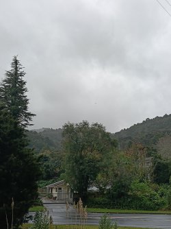 IMG20260601110104.jpg