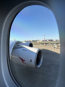 IMG_2616.jpeg