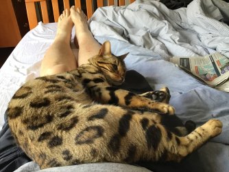 IMG_6660.jpeg