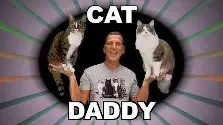 Didja.webp