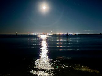 IMG_8386.jpeg