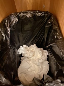 IMG_2348.jpeg