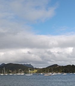 IMG_20260603_151827.jpg