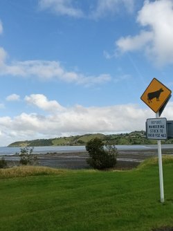 IMG20260603142744~2.jpg