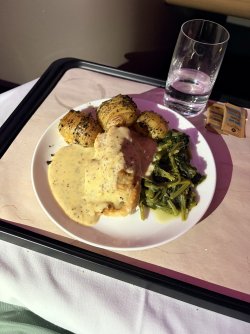 IMG_1081.jpeg