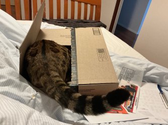 IMG_9392.jpeg