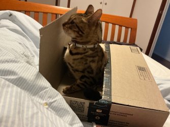 IMG_9393.jpeg