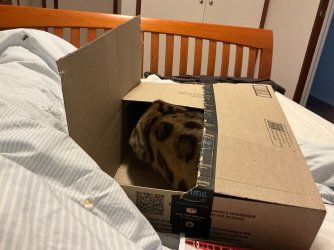 IMG_9394.jpeg