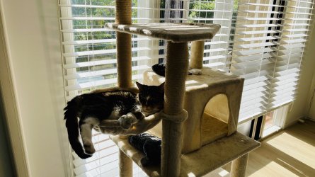 IMG_6204.jpeg