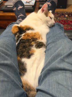IMG_4981.jpeg