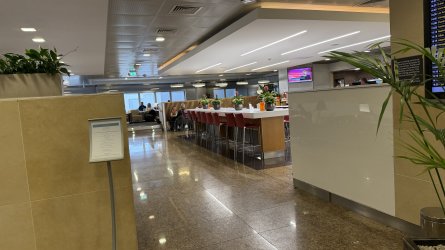 IMG_8183.jpeg