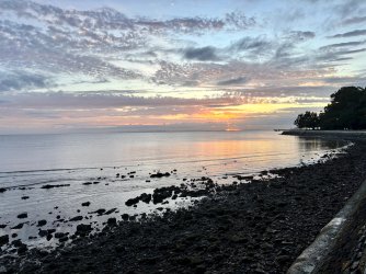 IMG_8287.jpeg