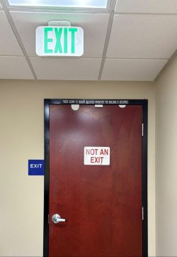 IMG_5393.jpeg