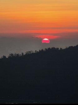 IMG_2318.jpeg