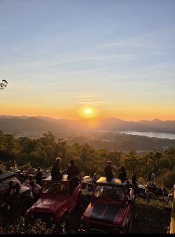 IMG_2317.jpeg