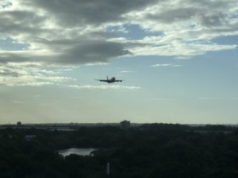 IMG_2723.jpeg