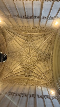 IMG_8126.JPEG