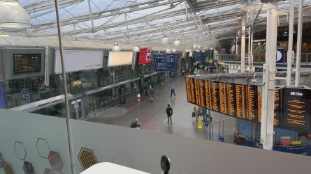 IMG_8143.JPEG