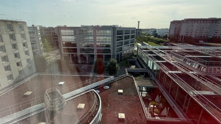 IMG_8296.JPEG