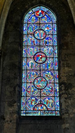 IMG_8369.JPEG