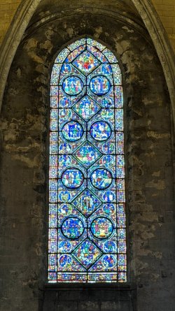 IMG_8371.JPEG