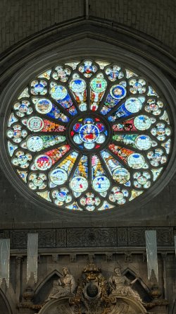 IMG_8457.JPEG