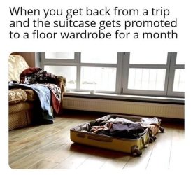 1781430389232.jpeg
