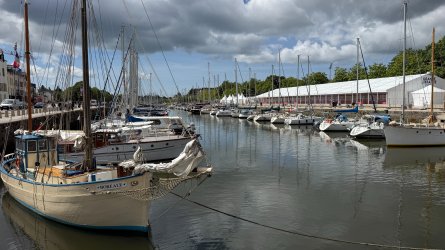 IMG_8739.JPEG IMG_8739.JPEG