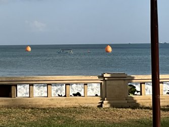 IMG_0913.jpeg