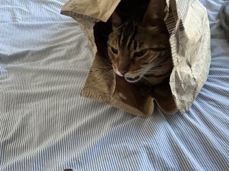 IMG_9409.jpeg