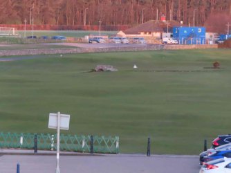 jpeg-optimizer_IMG_3715.JPG