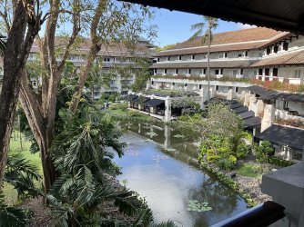 IMG_0921.jpeg