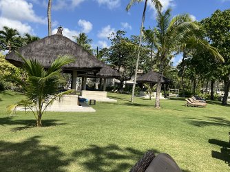 IMG_0919.jpeg
