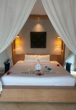 IMG_2561.png IMG_2561.png