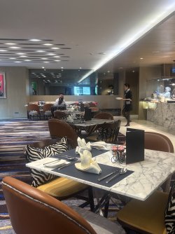 IMG_2398.jpeg