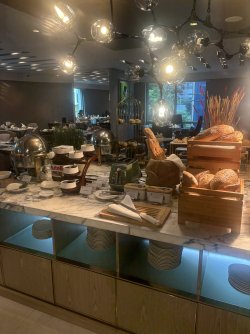 IMG_2402.jpeg