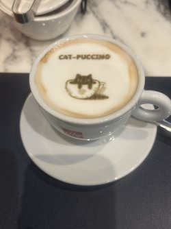 IMG_2405.jpeg