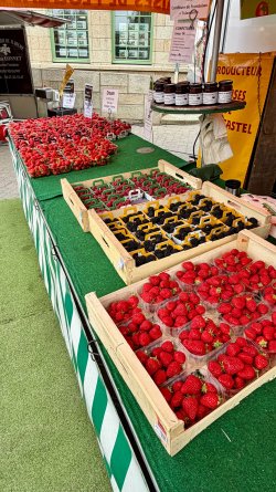 IMG_9113.JPEG IMG_9113.JPEG