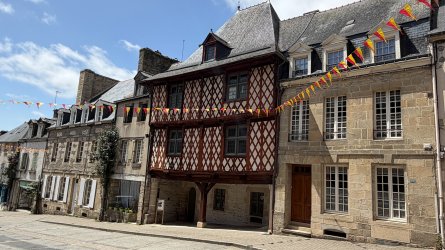 IMG_8993.JPEG IMG_8993.JPEG