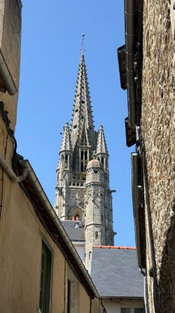 IMG_9046.JPEG