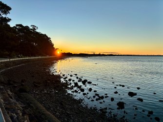 IMG_8376.jpeg