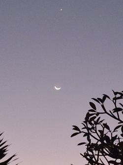 20260617_183118.jpg