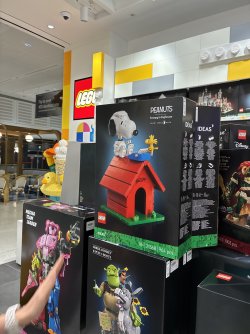 IMG_5246.jpeg IMG_5246.jpeg