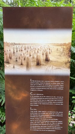 IMG_9121.JPEG IMG_9121.JPEG
